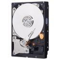 Dysk HDD WD Blue WD10EZEX (1 TB ; 3.5"; 64 MB; 7200 obr/min) WD