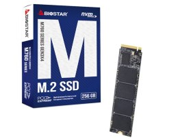 Dysk SSD Biostar M760 256GB Biostar