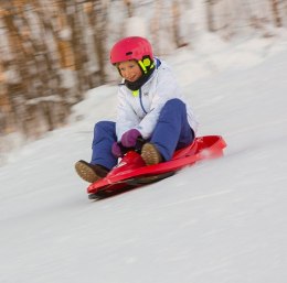 Hamax Sno Formel Śnieżny racer Czerwony Polietylen Hamax